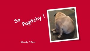 So Pugitchy!